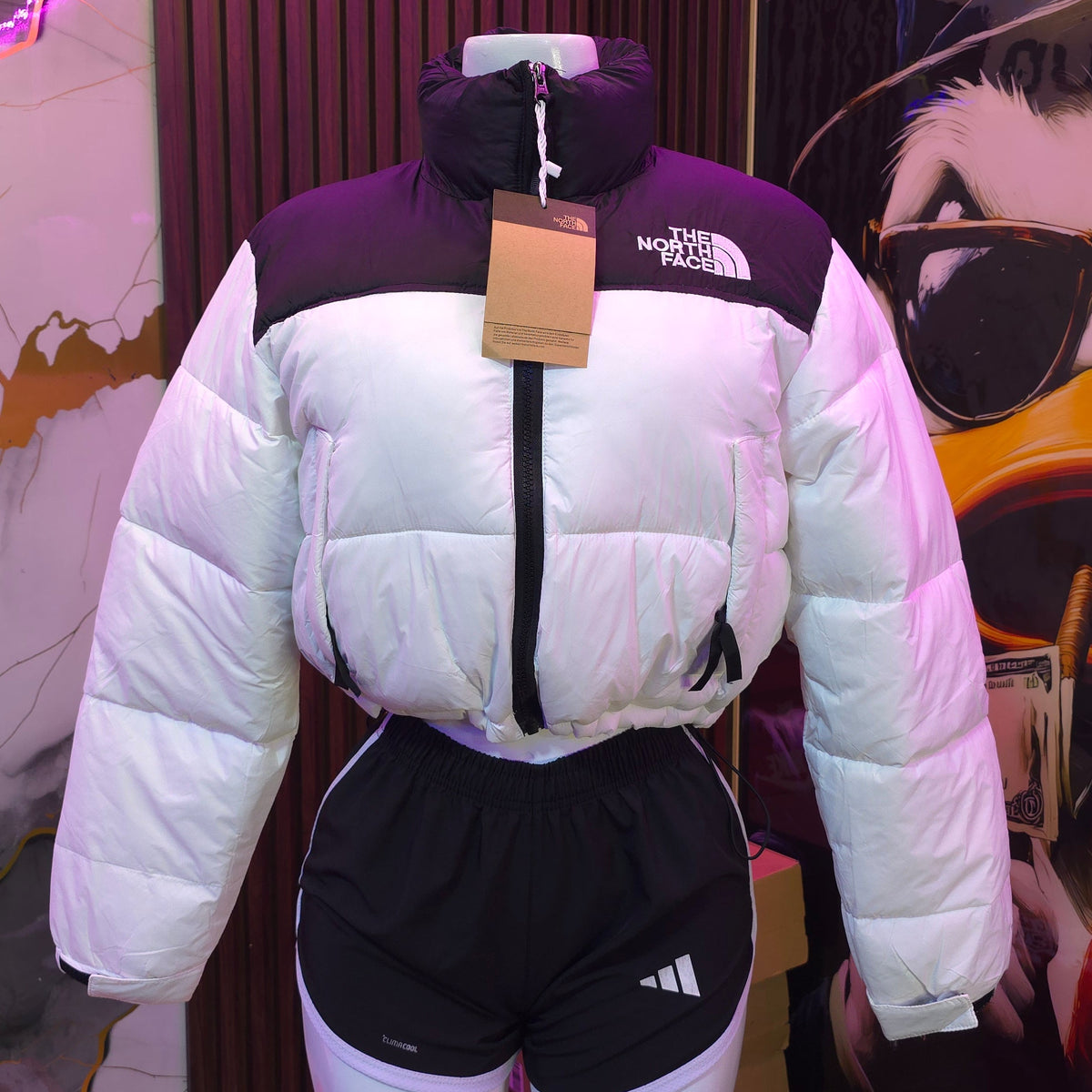 THE NORTH FACE